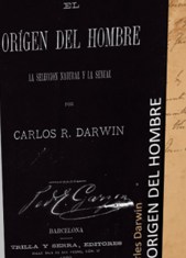 EL ORIGEN DEL HOMBRE
